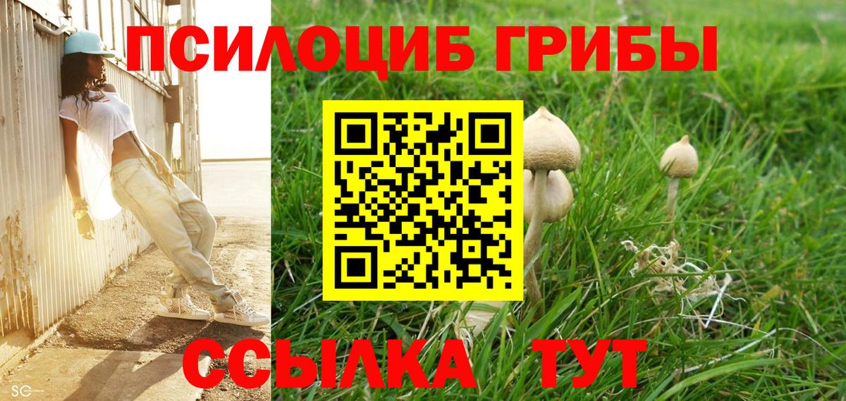 Галлюциногенные грибы Magic Shrooms  Псилоцибиновые грибы Magic Shrooms  Шали  Вход с VPN 