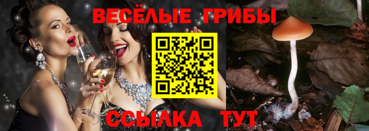 Галлюциногенные грибы ЛСД Шали